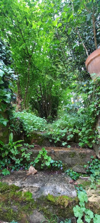 maison avec terrasse&garage dans le Périgord noir Belvès Esterno foto