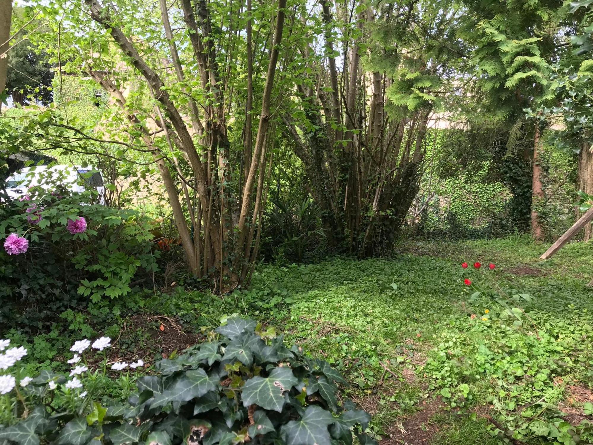 maison avec terrasse&garage dans le Périgord noir Belvès Esterno foto